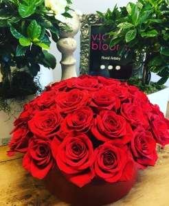 Roses Galore