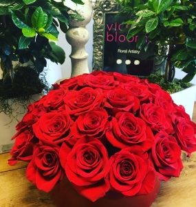 Roses Galore
